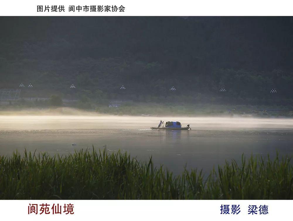救援小巨鳄