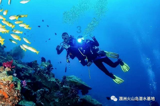 救援受困的小恐龙